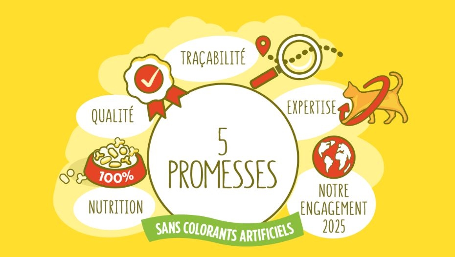 5 promesses