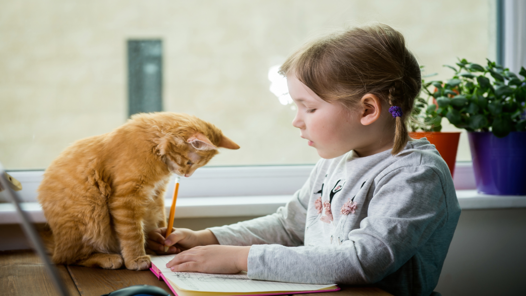 petite fille écrivant dans son cahier avec son chat devant elle