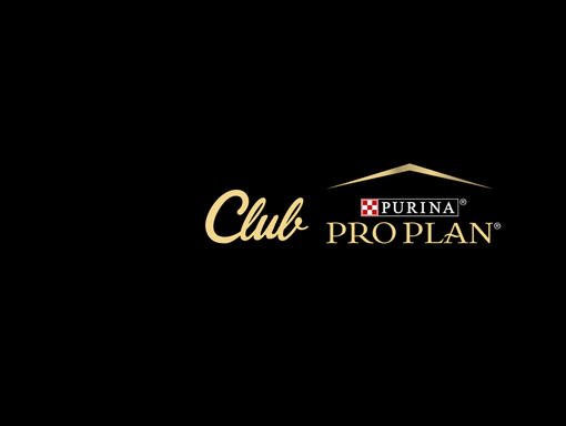 Club Pro Plan