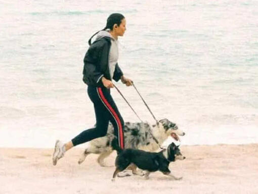 Un homme et un chien courent sur le rivage
