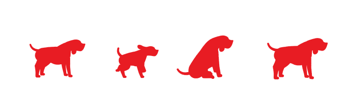 Sélecteur de Races Canines