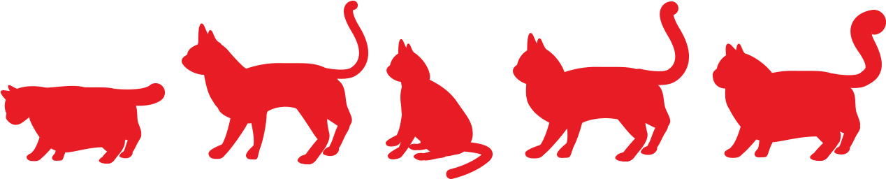 Sélecteur de Races Félines