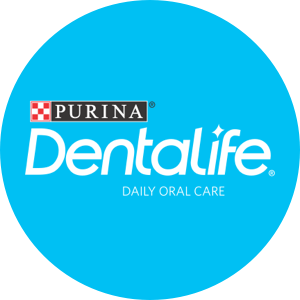 Dentalife® logo