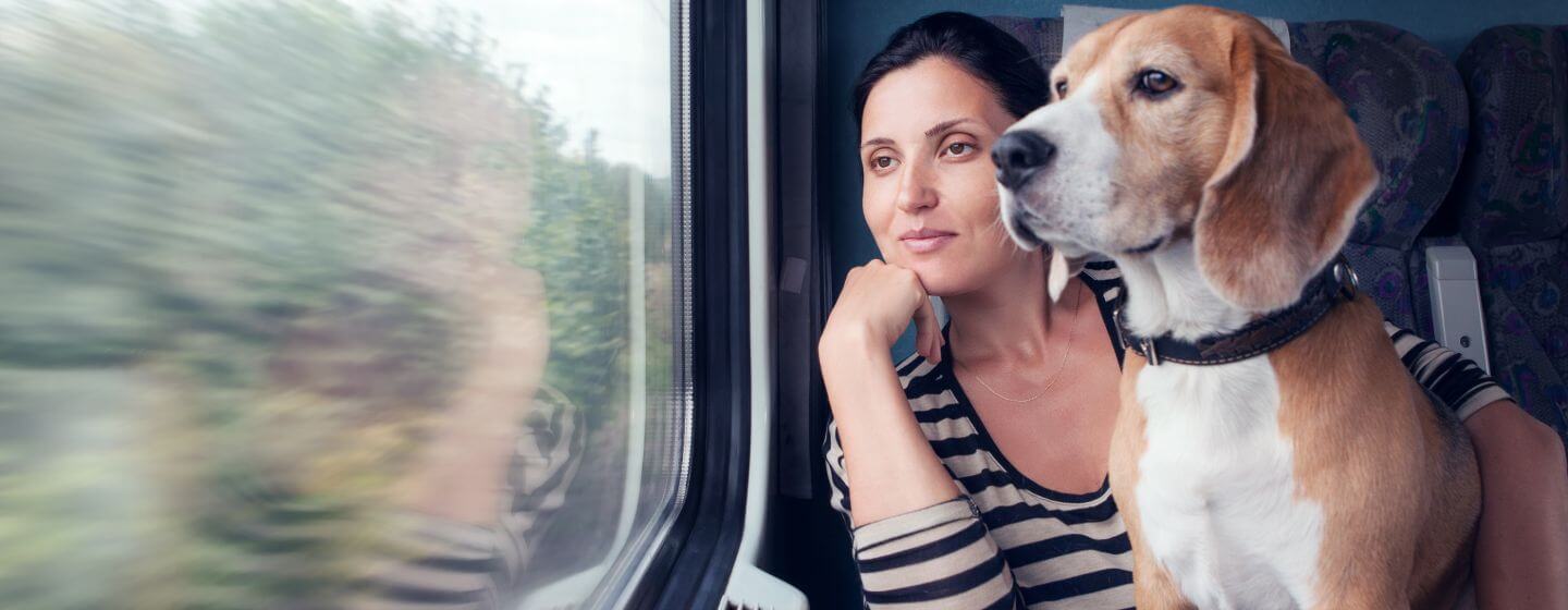 Femme et beagle regardant par la fenêtre d'un train