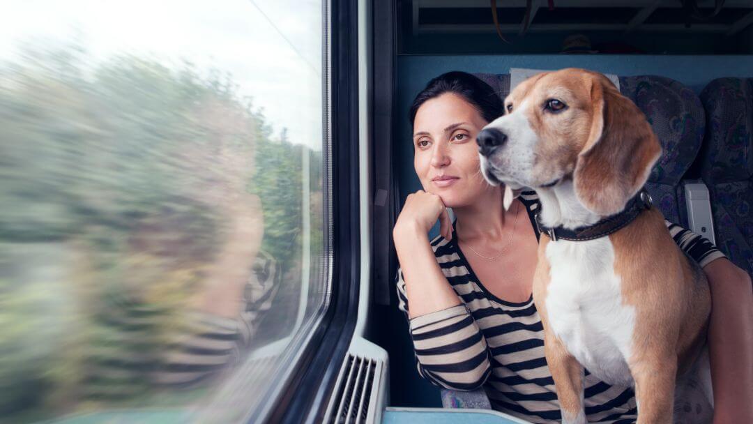Femme et beagle regardant par la fenêtre d'un train