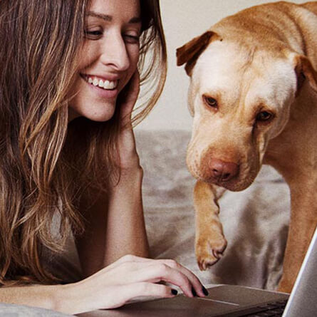 Femme et chien regardant l'ordinateur