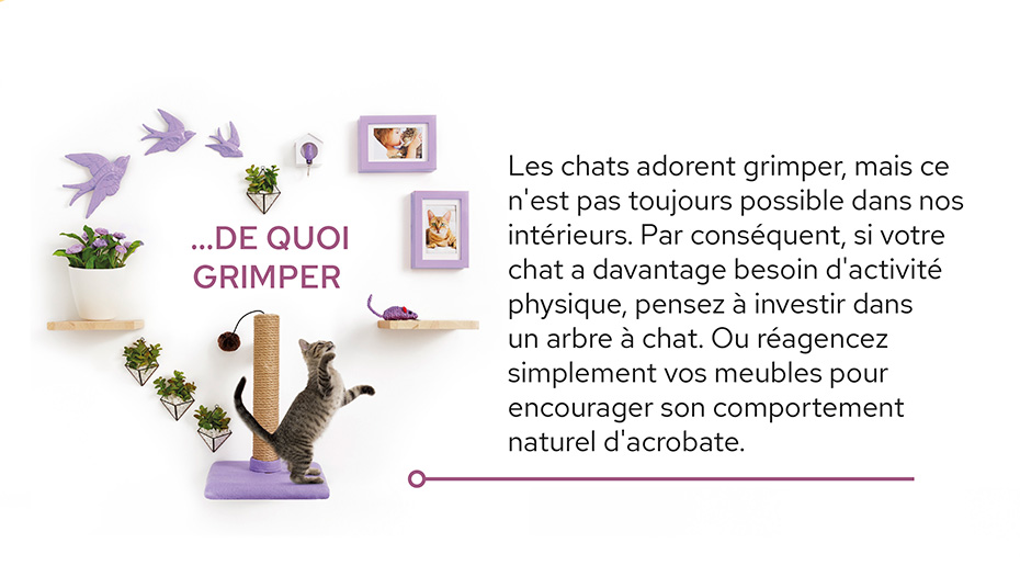 DE QUOI GRIMPER