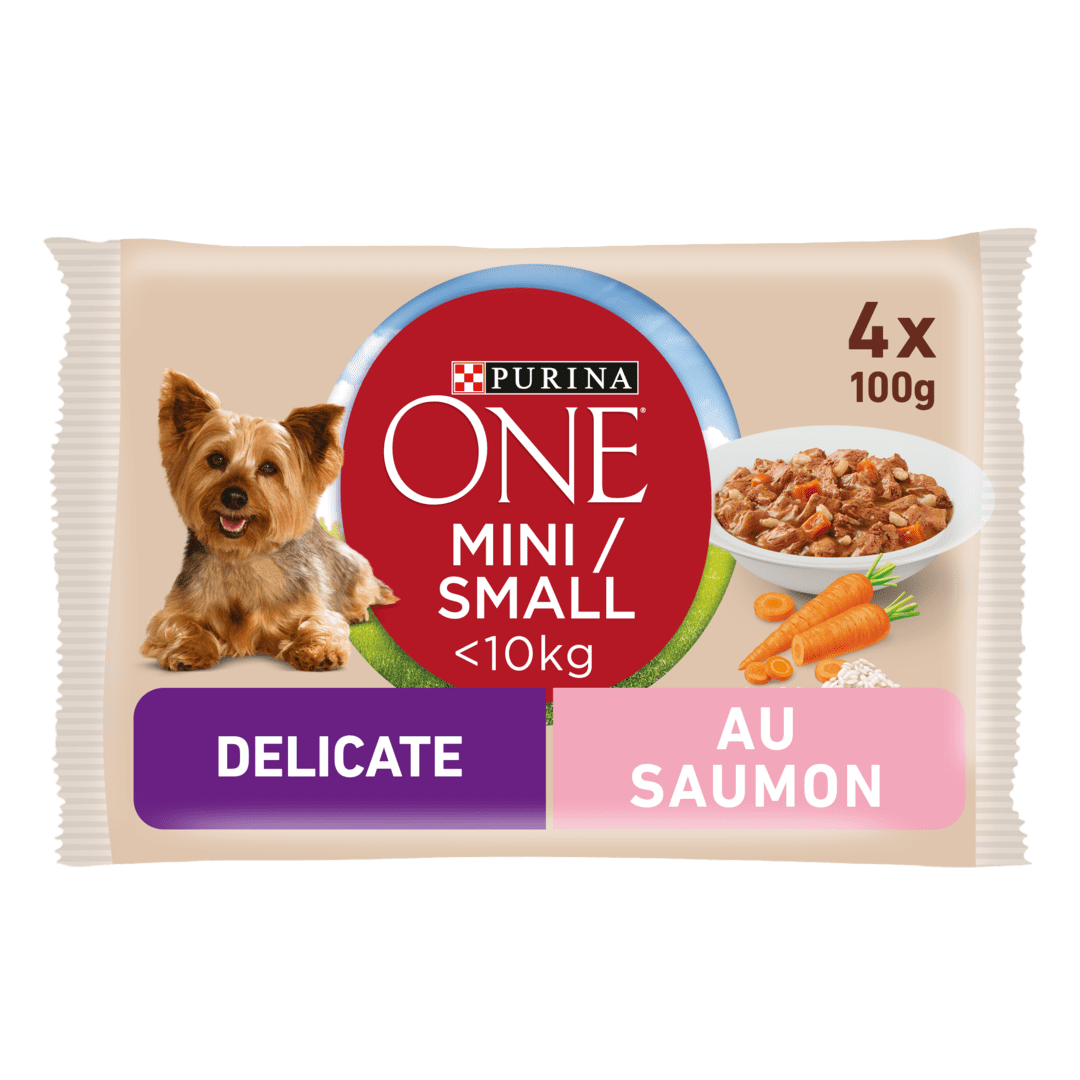 PURINA ONE® MINI Effilés en sauce pour petit chien 