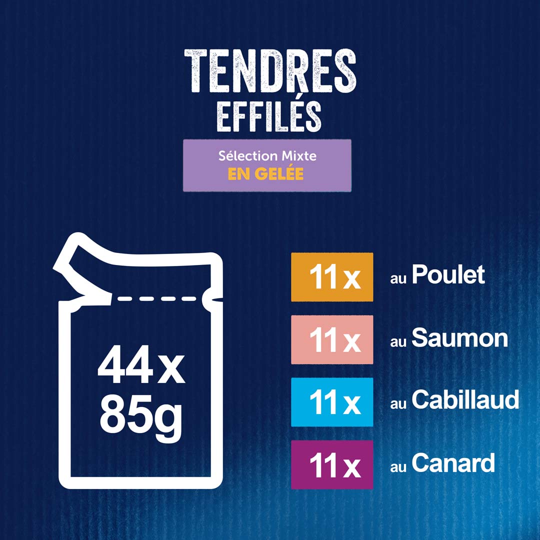 Félix - Repas pour chat Tendres effilés au poisson en gelée 4 Variétés -  Supermarchés Match