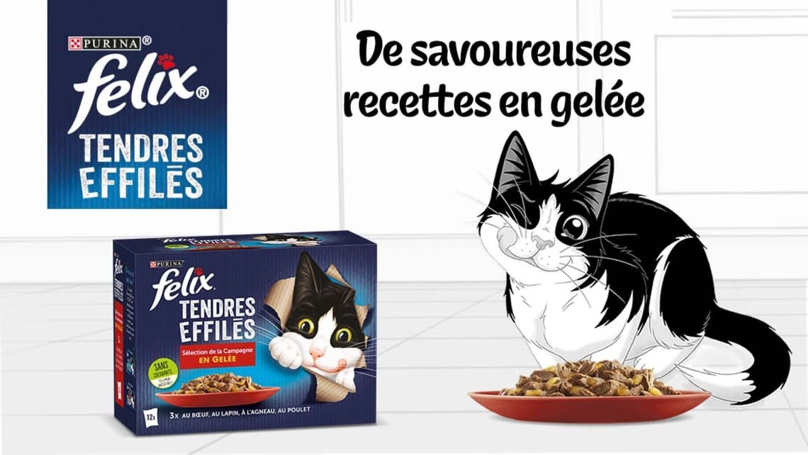 Purina - Pâtée pour chat FELIX Tendres Effilés en Gelée Viandes-Poissons 44  Sachets x 100g - Alimentation humide pour chat - Rue du Commerce