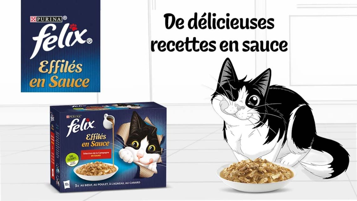 Nourriture chat en sachet : Effilés en Sauce FELIX®