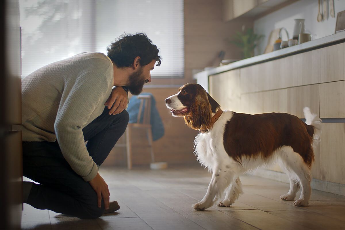 Un homme et un chien se regardant dans une cuisine