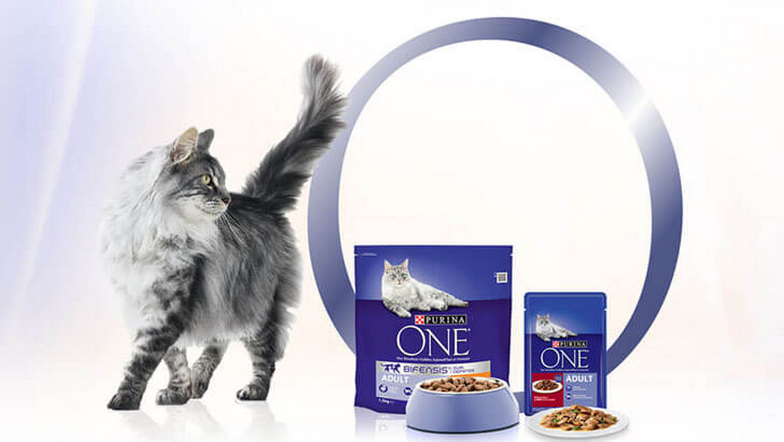 Purina ONE® Chat Croquettes et sachets haute nutrition pour chat