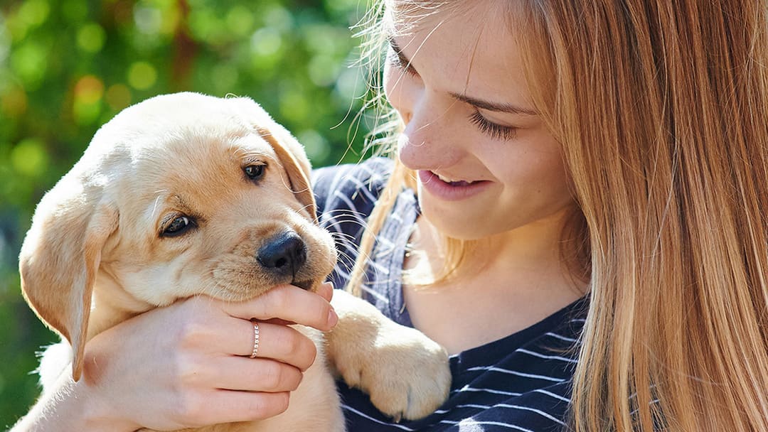 Prendre soin de votre chiot