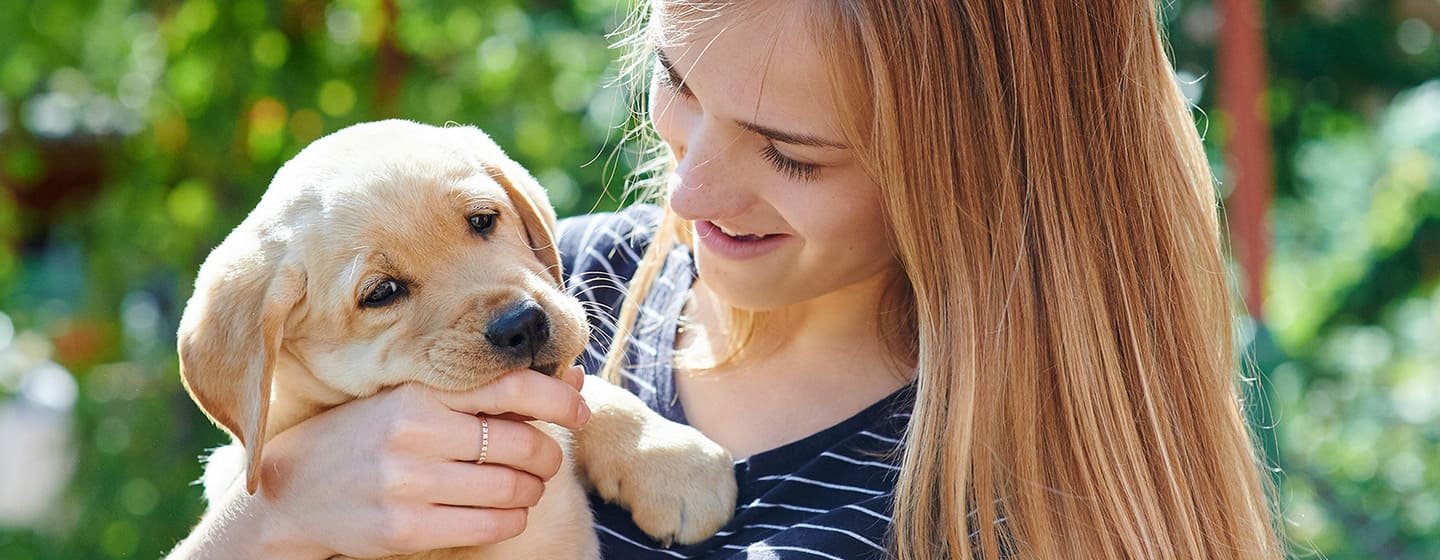 Prendre soin de votre chiot