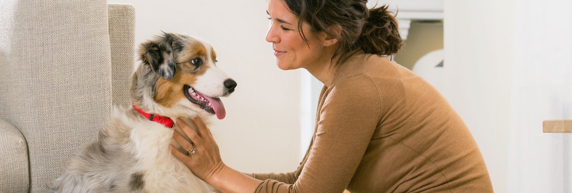 Maintenir la peau de votre chiot en pleine santé