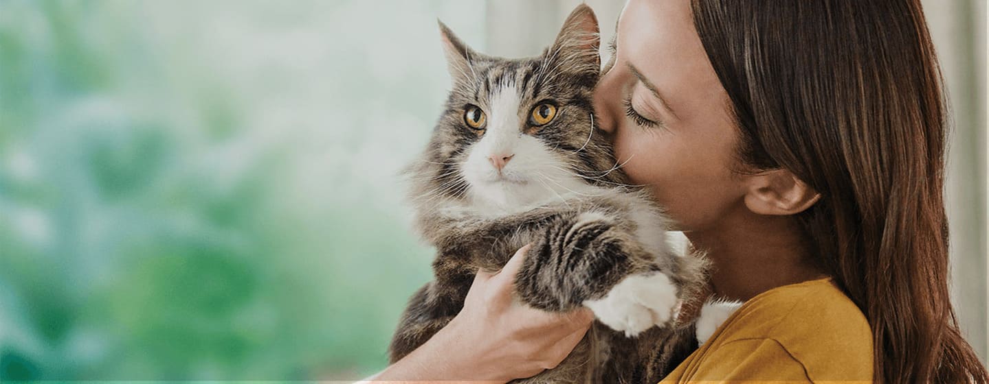 Recommandations pour les personnes sensibles aux allergènes de chat