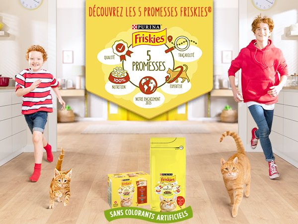 Toute l’alimentation complète FRISKIES® chat