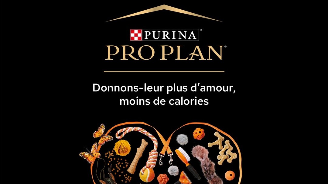 PURINA s’engage dans la prévention de l’obésité chez le chien et le chat