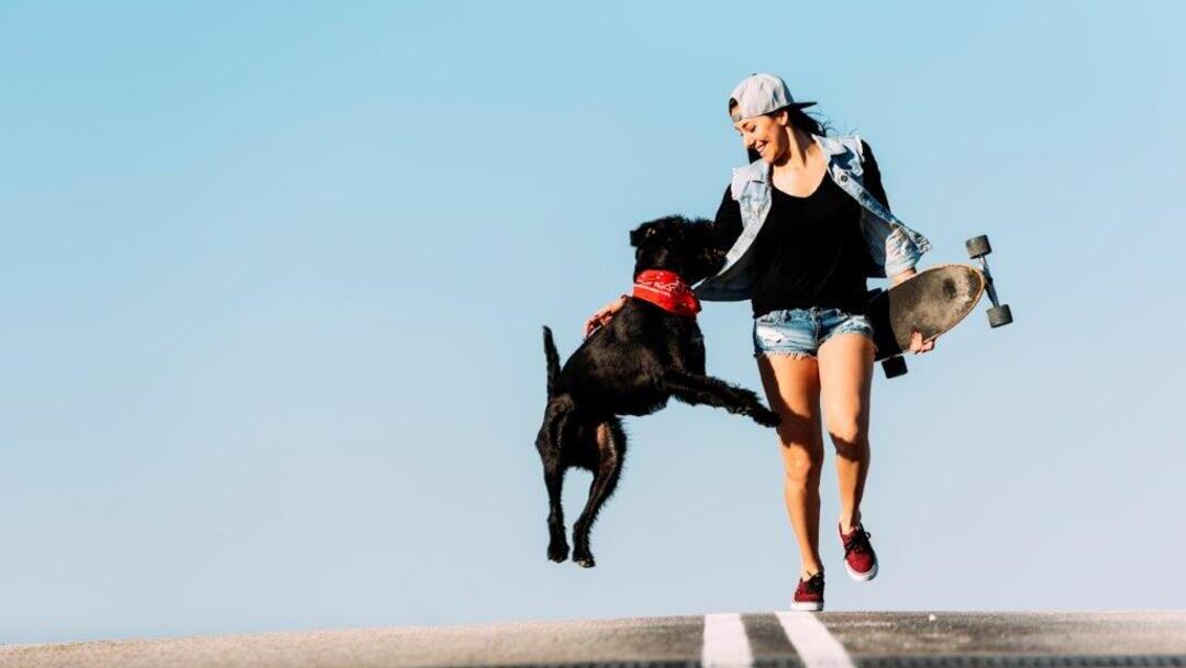 Chien avec la maîtresse sur l'autoroute