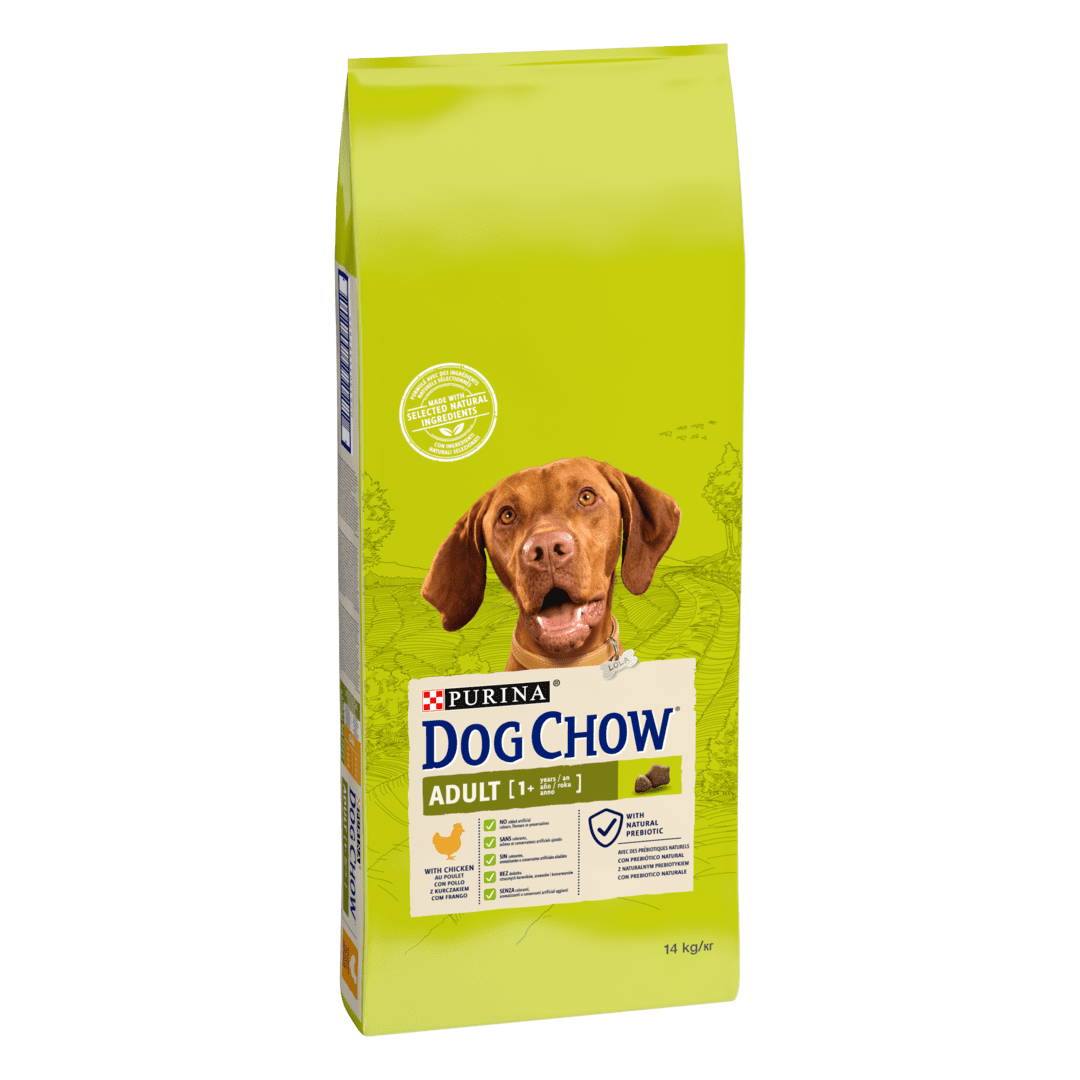 Dog shop chow adult