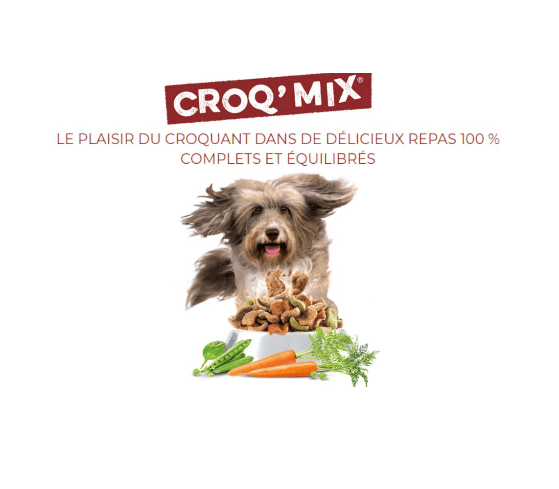 Le chien FIDO ® courant vers sa gamelle remplie de croquettes Croq’Mix ® ainsi qu’une carte de la France