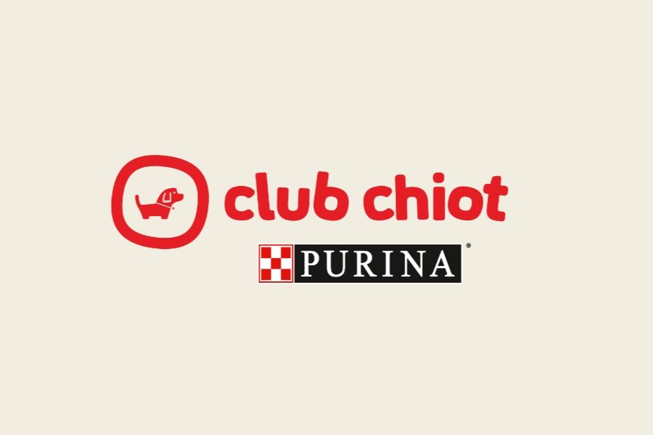 club chiot