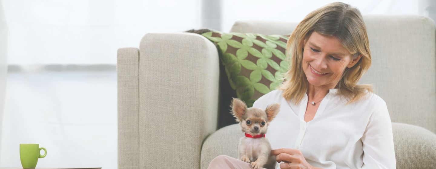 Offrez à votre animal un départ optimal dans la vie !