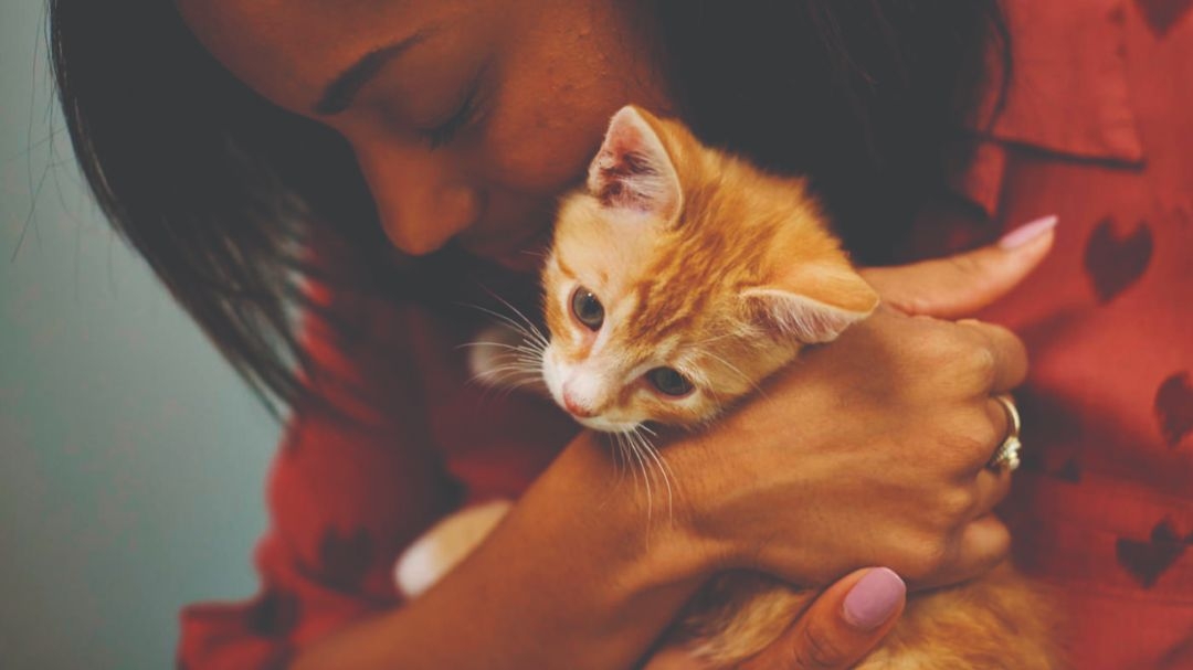 Offrez à votre animal un départ optimal dans la vie !