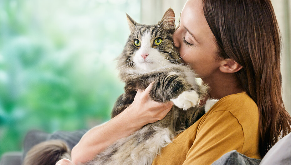 Chat câlin femme