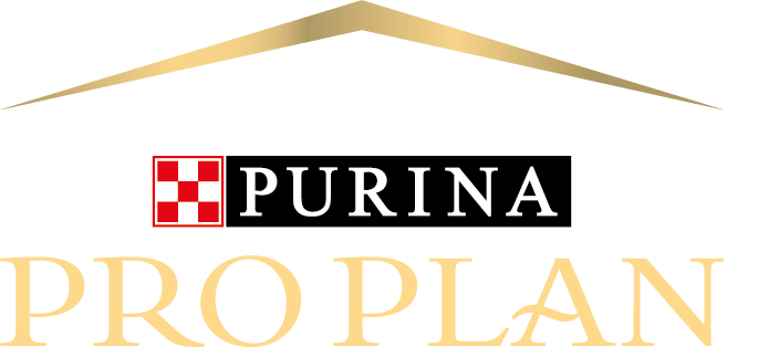 Pro Plan logo