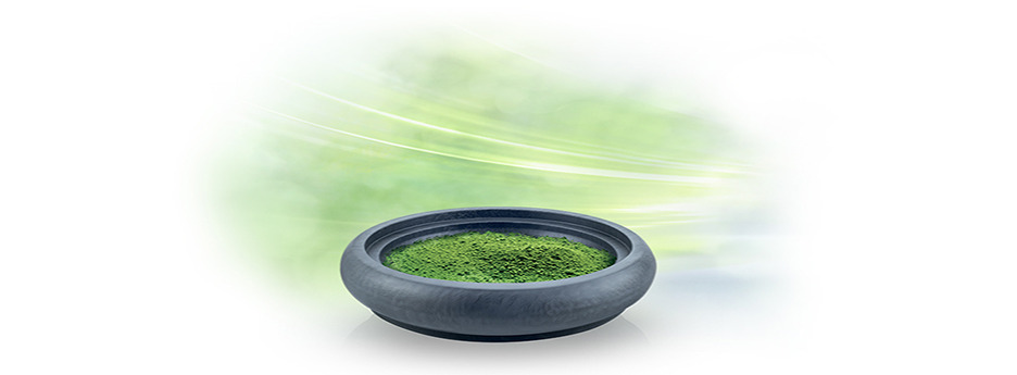 Spiruline