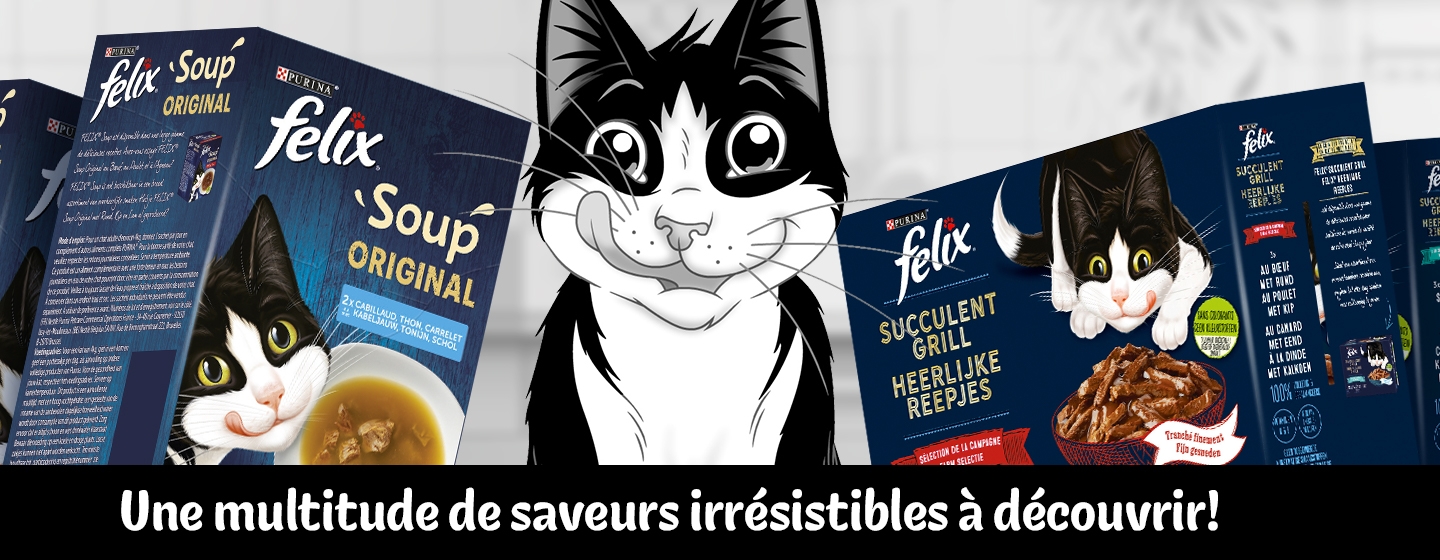 FELIX® Alimentation humide et friandises pour chats fûtés
