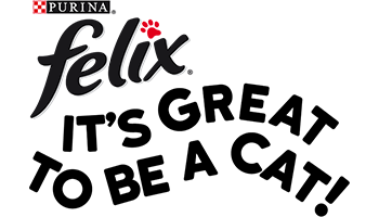 Felix®