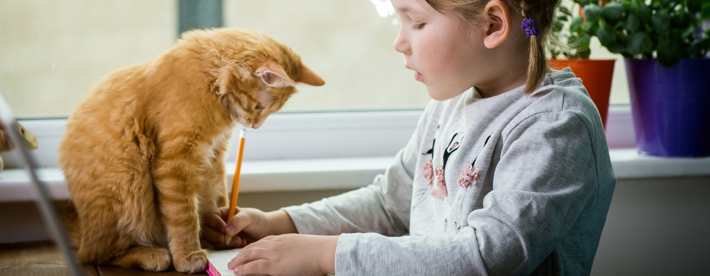 petite fille écrivant dans son cahier avec son chat devant elle