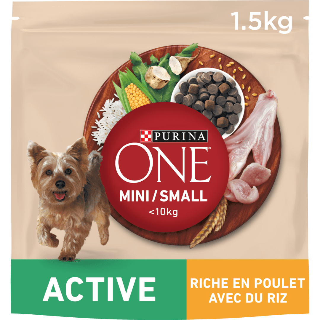 PURINA ONE® MINI/SMALL < 10kg Active, Croquettes pour petit chien actif Riche en Poulet avec du Riz