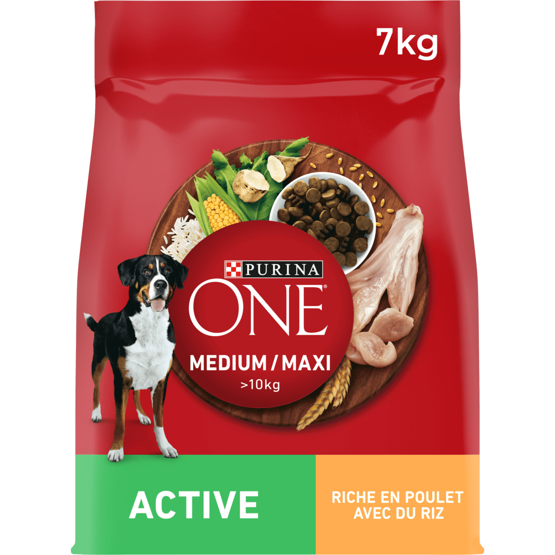 Croquettes Chien Actif - Medium Maxi Active | Purina One®