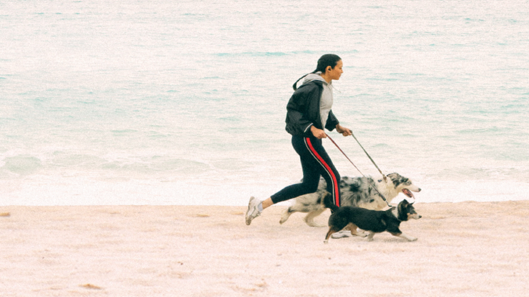 femme qui court avec ses chiens à la plage