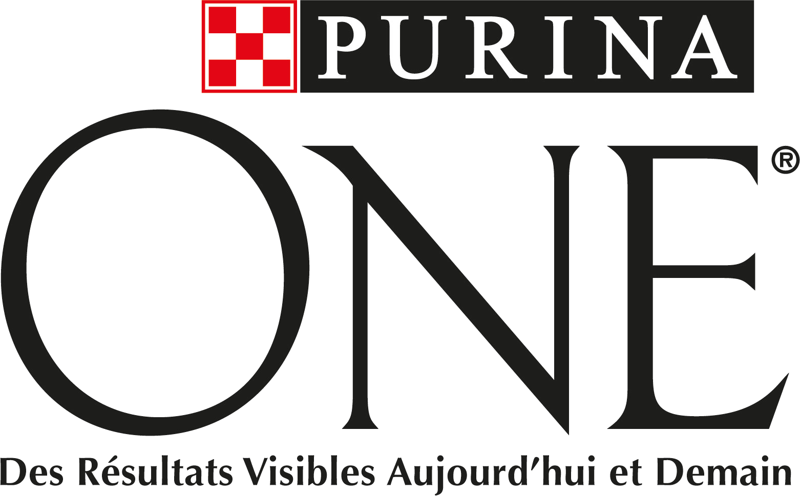 Purina One® Chien