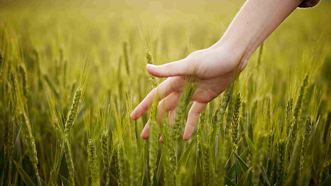 PURINA ouvre ses portes aux élèves du lycée de Rollancourt pour encourager l'entrepreneuriat agricole