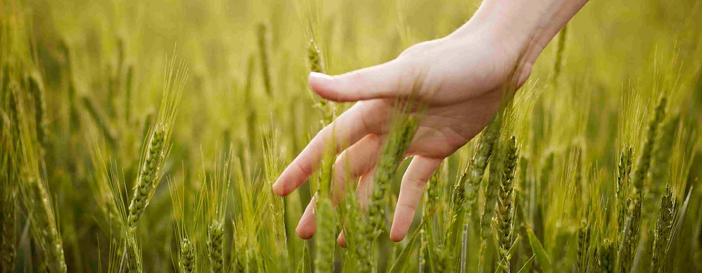 PURINA ouvre ses portes aux élèves du lycée de Rollancourt pour encourager l'entrepreneuriat agricole