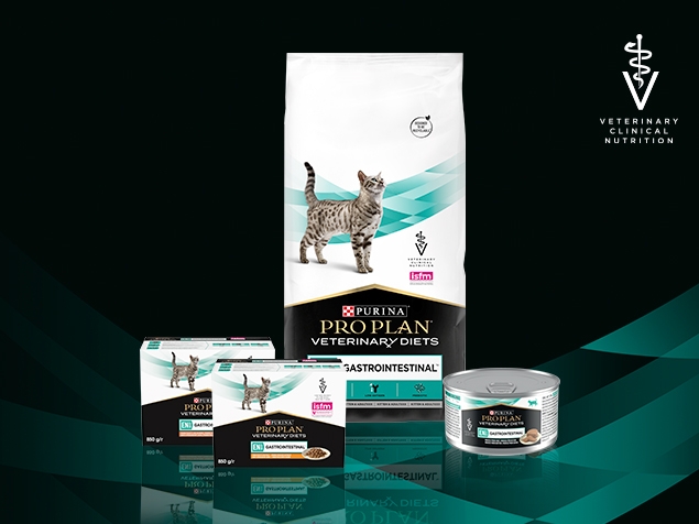 Pro Plan Veterinary Diets EN Gastrointestinal