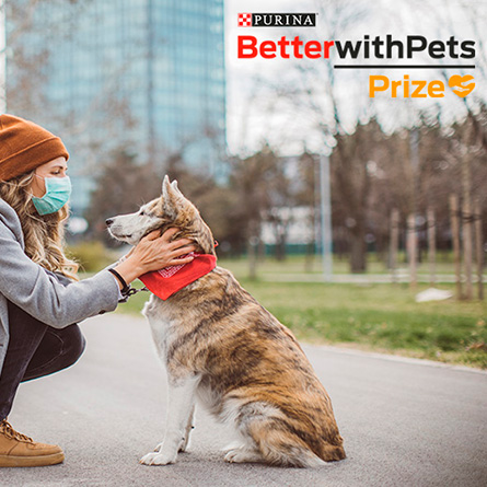 Prix Purina BetterwithPets