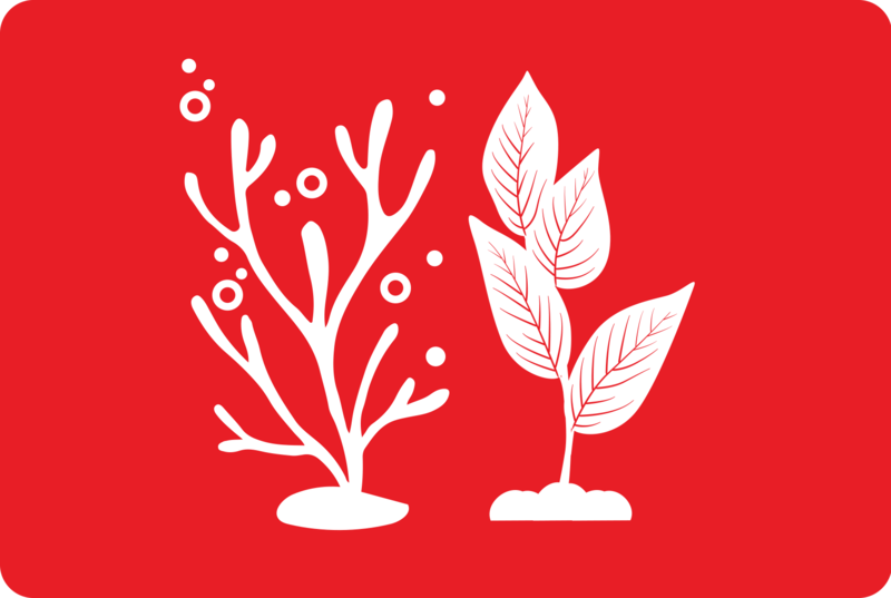 sustinability logo avec la planète blanche sur fond rouge