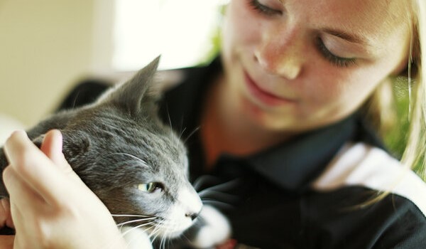 D’où viennent les allergies aux poils de chien ou de chat ?