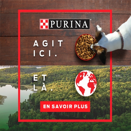 Purina Agit