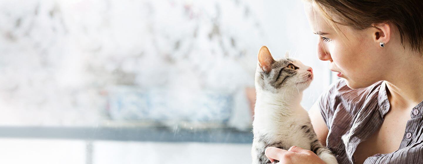 Chaton à fourrure claire détenu par une femme.