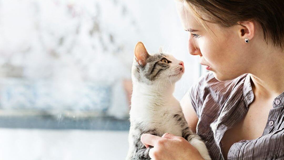 Chaton à fourrure claire détenu par une femme.