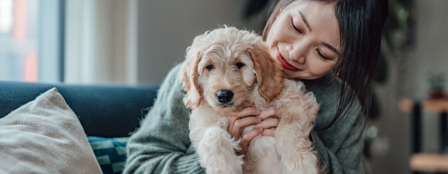 chiot blanc dans les bras de son propriétaire