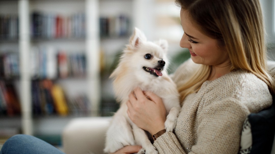 Femme avec un chien blanc à la maison